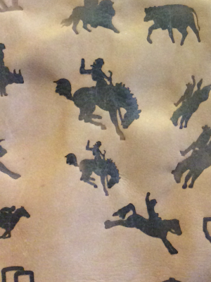 Bucking Horse