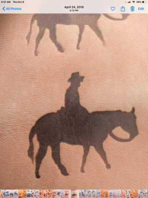 Cowboy on Horse