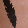 Feather